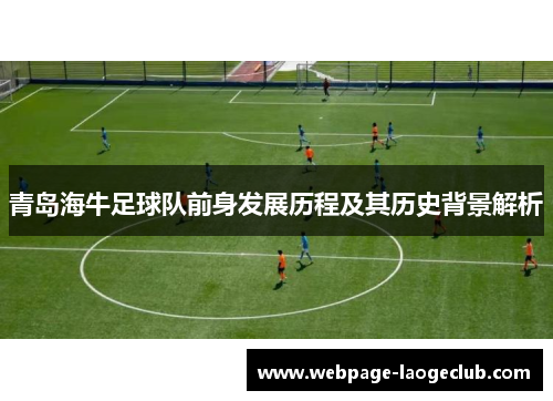 青岛海牛足球队前身发展历程及其历史背景解析