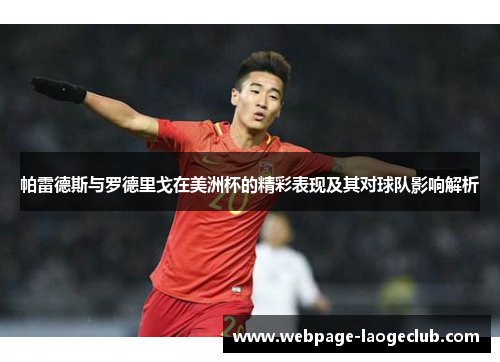 帕雷德斯与罗德里戈在美洲杯的精彩表现及其对球队影响解析
