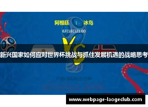 新兴国家如何应对世界杯挑战与抓住发展机遇的战略思考