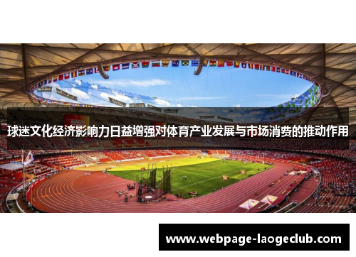 球迷文化经济影响力日益增强对体育产业发展与市场消费的推动作用